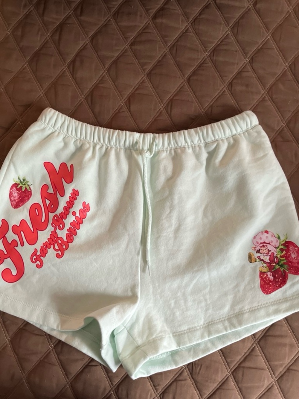 Strawberry Shortcake Light Mint Lounge Shorts - Small
